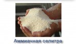 Аміачна селітра марки «Б» (N = 34,4%)