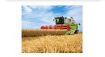 Азопреціпітат марки «А» (N: P = 26%: 13%)