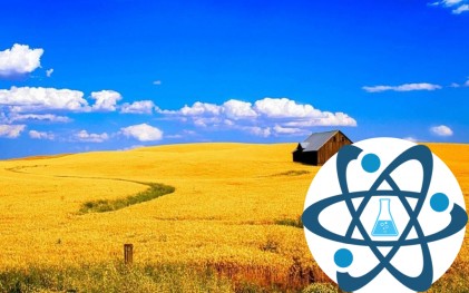 Вапняно-аміачна селітра