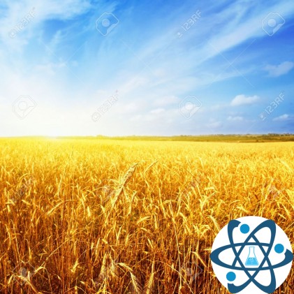 АМОФОС УКРАЇНА МІШКИ/БІГ_БЕГИ