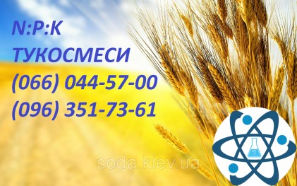 Тукосмесь